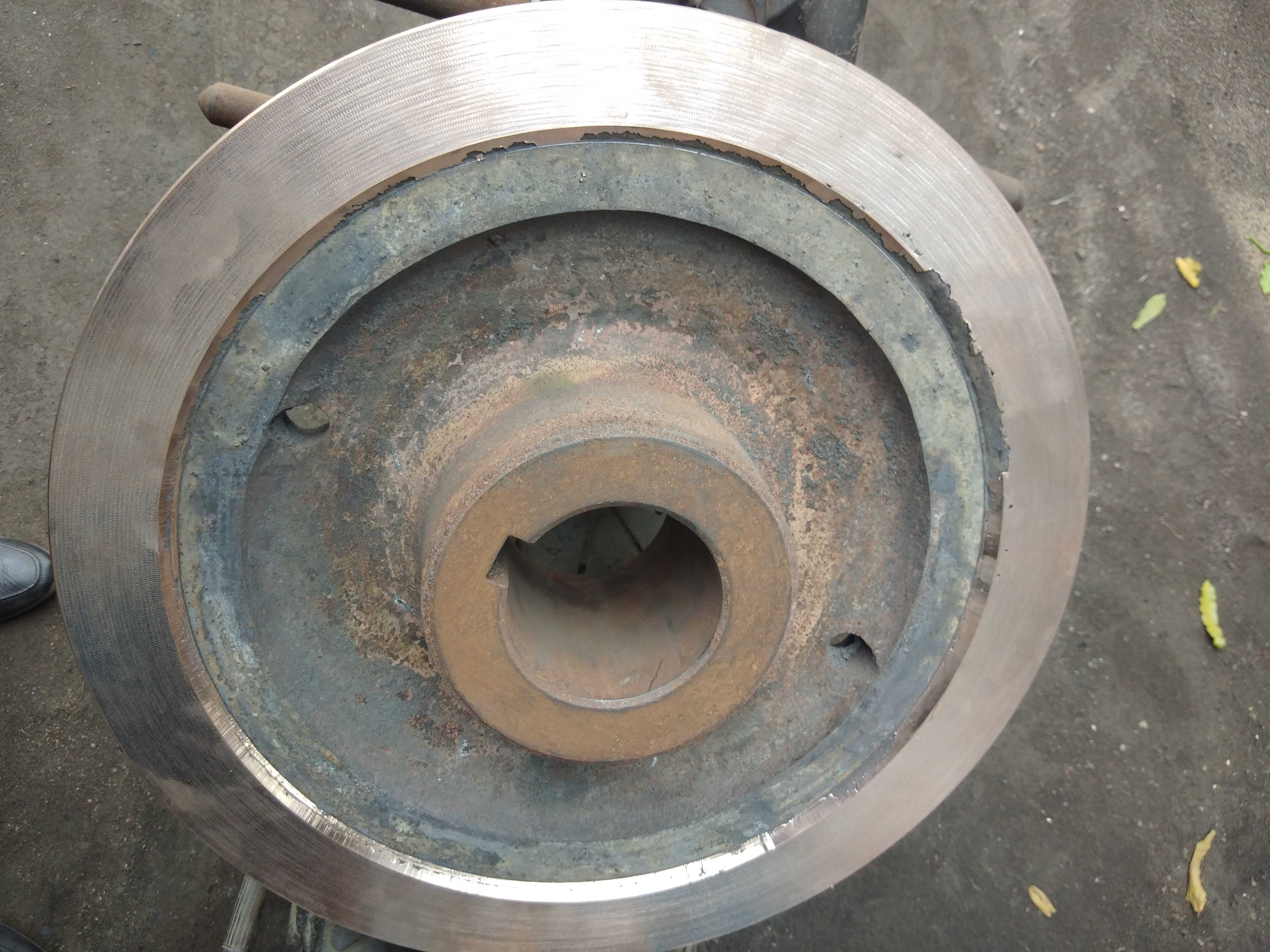 Phosphoras Bronze Worm Gear 